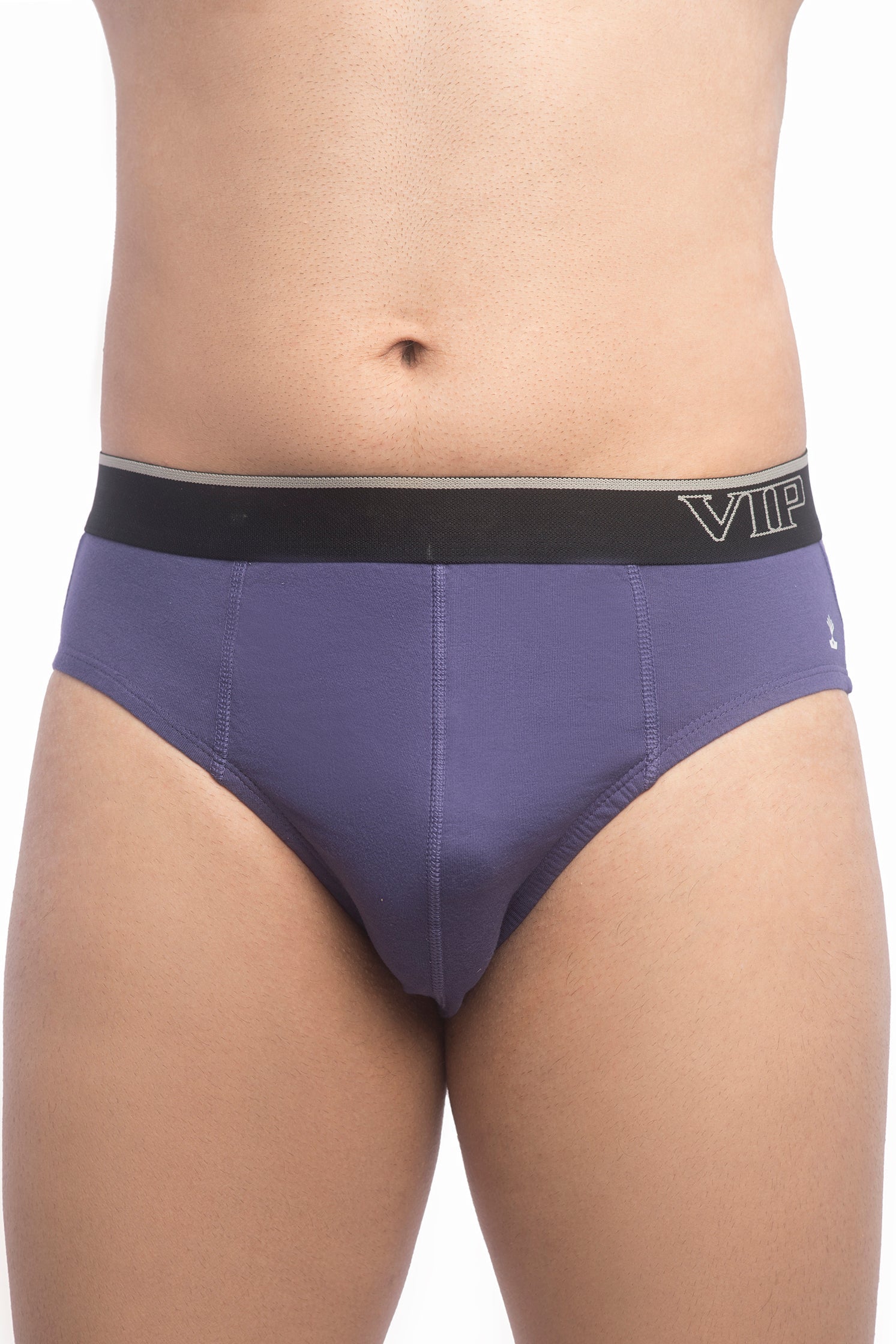 Regal 1000 - Men's Pure Cotton Briefs - Assorted Color